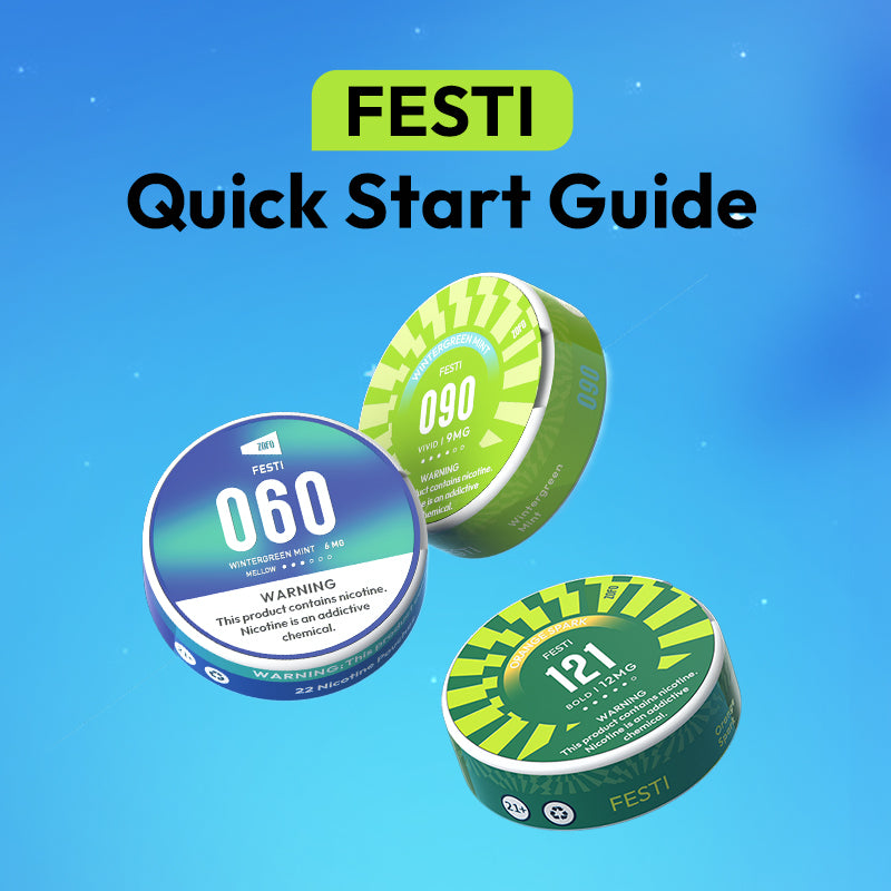 FESTI Quick Start Guide